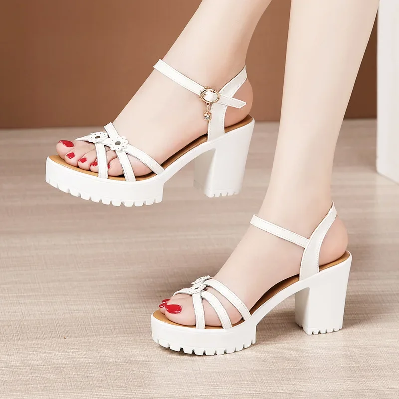 8cm Small Size 32-43 Elegant F - đánh giá và giá Women Shoes Model